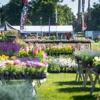 Blenheim Palace Flower Show