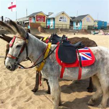 Skegness Seaside Excursion