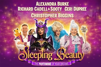 Sleeping Beauty the pantomime