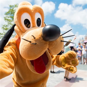 Theme Parks